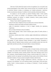 Pagrindinės Europos Sąjungos institucijos: jų paskirtis ir funkcijos   8 puslapis