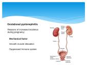 Diagnosis of pregnancy 11 puslapis
