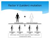 Diagnosis of pregnancy 17 puslapis