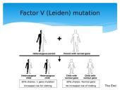 Diagnosis of pregnancy 18 puslapis