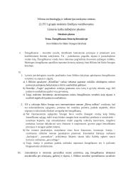 Žmogiškumas lietuvių literatūroje. Planas