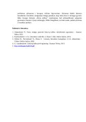 Žmogiškumas lietuvių literatūroje. Planas 2 puslapis