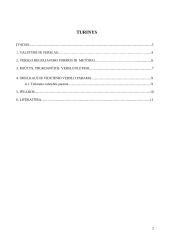 Pagrindinės verslo vystymosi problemos Lietuvoje 2 puslapis