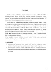 Pagrindinės verslo vystymosi problemos Lietuvoje 3 puslapis