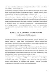 Pagrindinės verslo vystymosi problemos Lietuvoje 9 puslapis