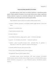 Pajamos ir jų paskirstymas 19 puslapis