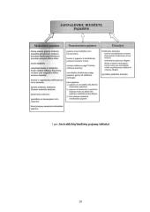 Pajamos ir jų paskirstymas 20 puslapis