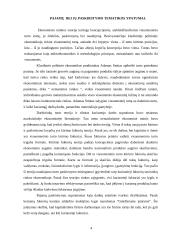 Pajamos ir jų paskirstymas 4 puslapis