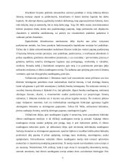 Pajamos ir jų paskirstymas 5 puslapis