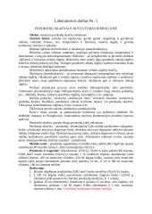 Laboratoriniai chemijos darbai  (maisto technologijų studijų programa) 2 puslapis