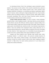 Pajamų nelygybė 13 puslapis