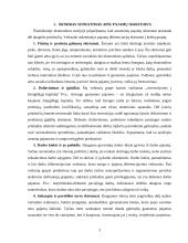 Pajamų nelygybė 3 puslapis