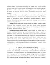 Pajamų nelygybė 4 puslapis