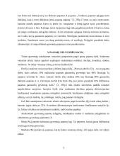 Pajamų nelygybė 5 puslapis