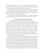 Pajamų nelygybė 7 puslapis