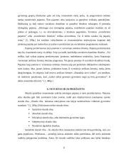 Pajamų nelygybė 8 puslapis