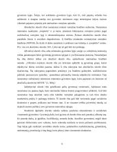 Pajamų nelygybė 9 puslapis