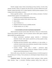 Pajamų nelygybė 10 puslapis