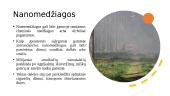 Nanomedžiagos, jų fizikinės savybės bei panaudojimas maisto pramonėje 3 puslapis