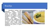 Pietų Amerikos mitybos ypatumai (skaidrės) 9 puslapis