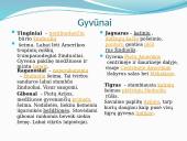 Drėgnieji pusiaujo miškai (skaidrės) 4 puslapis