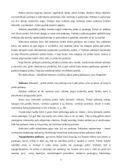 Paklausos analizė 2 puslapis