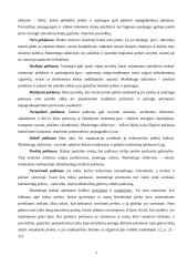 Paklausos analizė 3 puslapis