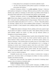 Prekių/paslaugų paklausos ir pasiūlos elastingumas 6 puslapis