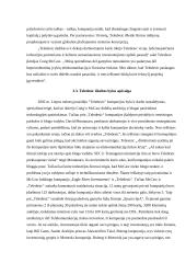 Palydovinis ryšys: kompanija "Teledesic" 13 puslapis