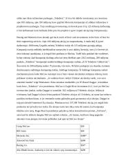 Palydovinis ryšys: kompanija "Teledesic" 14 puslapis