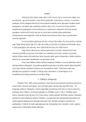 Palydovinis ryšys: kompanija "Teledesic" 3 puslapis