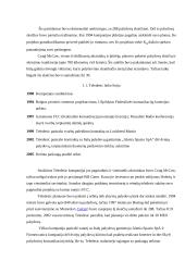 Palydovinis ryšys: kompanija "Teledesic" 4 puslapis