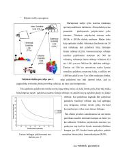 Palydovinis ryšys: kompanija "Teledesic" 6 puslapis