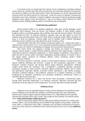 Palūkanos, palūkanų norma 4 puslapis