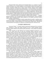 Palūkanos, palūkanų norma 10 puslapis