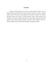 Palūkanų norma bei diskontavimas 9 puslapis