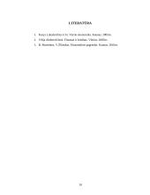 Palūkanų norma bei diskontavimas 10 puslapis