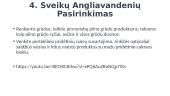 Visavertė žmogaus mityba. Ką tai reiškia? 7 puslapis