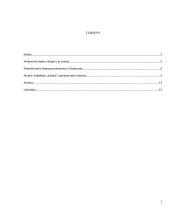 Pameistrystė kaip profesinio ugdymo forma 2 puslapis