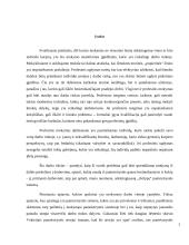 Pameistrystė kaip profesinio ugdymo forma 3 puslapis