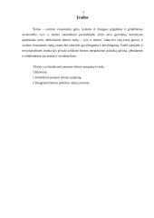 Paramos šeimai politikos samprata ir raida 3 puslapis