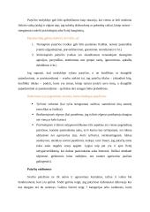 Patyčios mokykloje. Referatas 2 puslapis