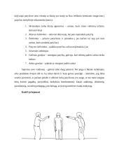 Patyčios mokykloje. Referatas 3 puslapis