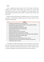 Patyčios mokykloje. Referatas 6 puslapis