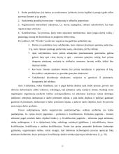 Pardavimo valdymo ypatybės: UAB "Nevėžis" 12 puslapis