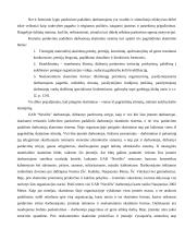 Pardavimo valdymo ypatybės: UAB "Nevėžis" 20 puslapis