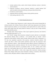 Pardavimo valdymo ypatybės: UAB "Nevėžis" 6 puslapis