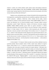 Komercinės paslaptys ir jų saugojimas 15 puslapis