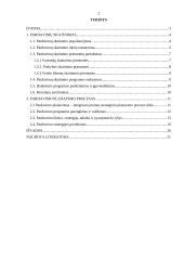 Pardavimų simuliacijos planavimas 2 puslapis