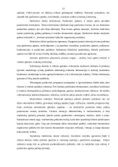 Pardavimų simuliacijos planavimas 13 puslapis